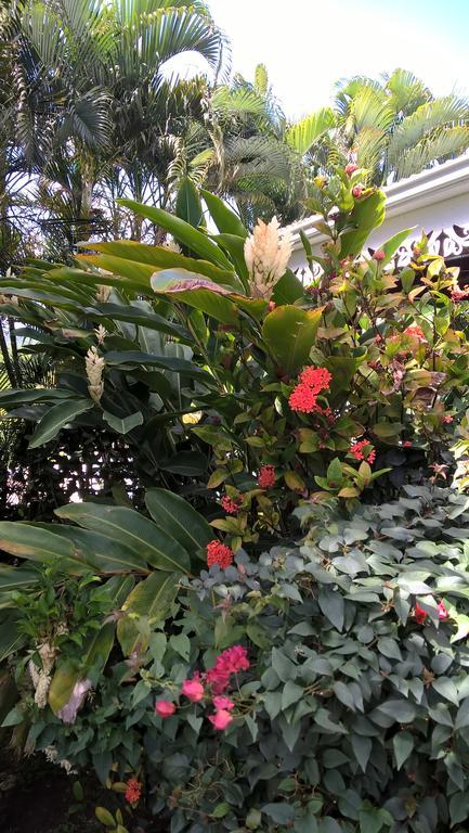 Willa Cap Martinique Sainte-Anne Zewnętrze zdjęcie