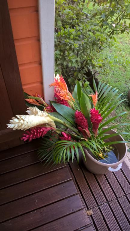 Willa Cap Martinique Sainte-Anne Zewnętrze zdjęcie